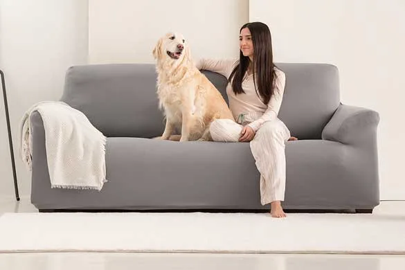 Ontdek ons uitgebreide assortiment aan bankhoezen – nu met gratis levering van alle hoezen!