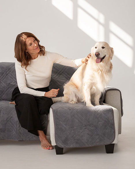 Hond op bank met grijze bankbeschermer op vaste ligplek