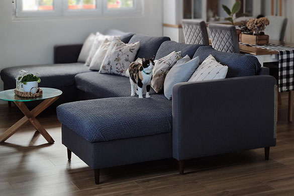 Donkere hoekbank met chaise longue in woonkamer met kat op de bank