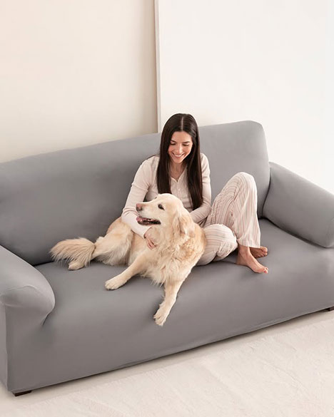 Vrouw zit met hond op grijze bank voorzien van een strakke bankhoes