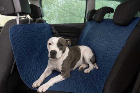 Stafforshire op blauwe honden autodeken in auto