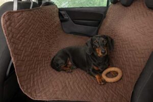 Teckel op bruine honden autodeken in auto