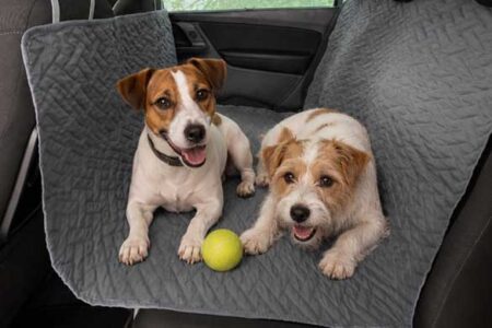 Jack russels op grijze honden autodeken in auto