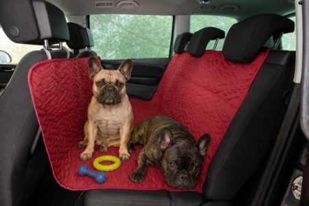 Honden autodeken rood