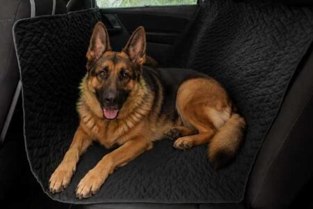 Duitse herder op zwarte honden autodeken in auto